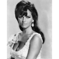 Claudia Cardinale Photo